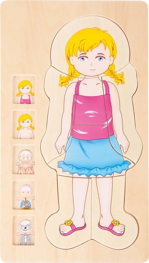 Small Foot Company Small Foot - Layer Puzzle Anatomy Girl 7 Small Foot Company Small Foot - Layer Puzzle Anatomy Girl - Afbeelding 7
