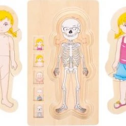 Small Foot Company Small Foot - Layer Puzzle Anatomy Girl 12 Small Foot Company Small Foot - Layer Puzzle Anatomy Girl -Duurzamer-speelgoed Winkel 550x255 1