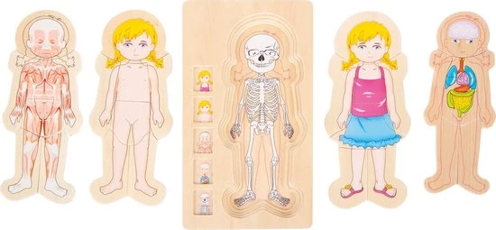 Small Foot Company Small Foot - Layer Puzzle Anatomy Girl 4 Small Foot Company Small Foot - Layer Puzzle Anatomy Girl - Afbeelding 4