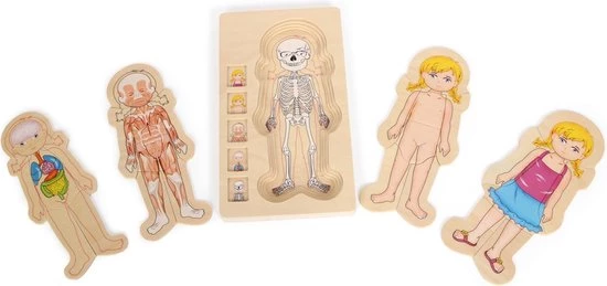 Small Foot Company Small Foot - Layer Puzzle Anatomy Girl 2 Small Foot Company Small Foot - Layer Puzzle Anatomy Girl - Afbeelding 2