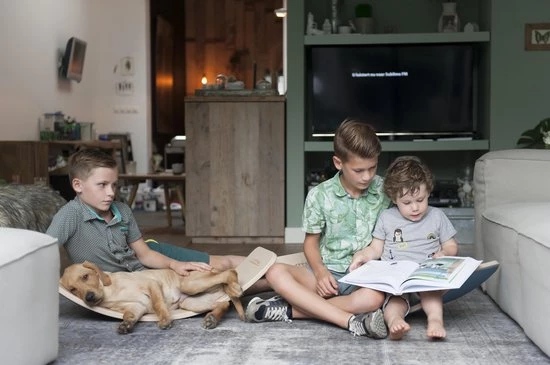 Wobbel Original Mosterd (geel) - Linnen / Whitewash Houten Balance Board Van 90 Cm Met Geel Wolvilt 2 Wobbel Original Mosterd (geel) - Linnen / Whitewash Houten Balance Board Van 90 Cm Met Geel Wolvilt - Afbeelding 2