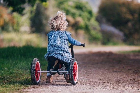 Wishbonebike Wishbone Bike RE2 Rood 3in1 4 Wishbonebike Wishbone Bike RE2 Rood 3in1 - Afbeelding 4