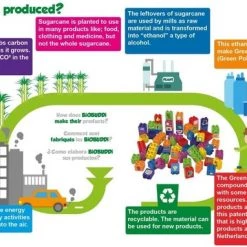 BiOBUDDi Leer Nummers Kennen - BB-0002 -Duurzamer-speelgoed Winkel 550x382 4