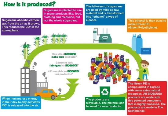 Biobuddi Dinosaurussen Triceratops BB-0188 7 Biobuddi Dinosaurussen Triceratops BB-0188 - Afbeelding 7