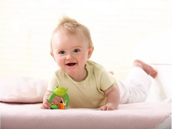 Haba Rammelaar - Kwaakkikker 2 Haba Rammelaar - Kwaakkikker - Afbeelding 2