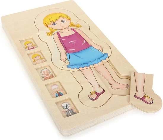 Small Foot Company Small Foot - Layer Puzzle Anatomy Girl 8 Small Foot Company Small Foot - Layer Puzzle Anatomy Girl - Afbeelding 8
