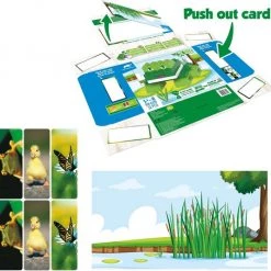 BioBuddi - Animal Planet - Frog (BB-0208) -Duurzamer-speelgoed Winkel 550x534 8