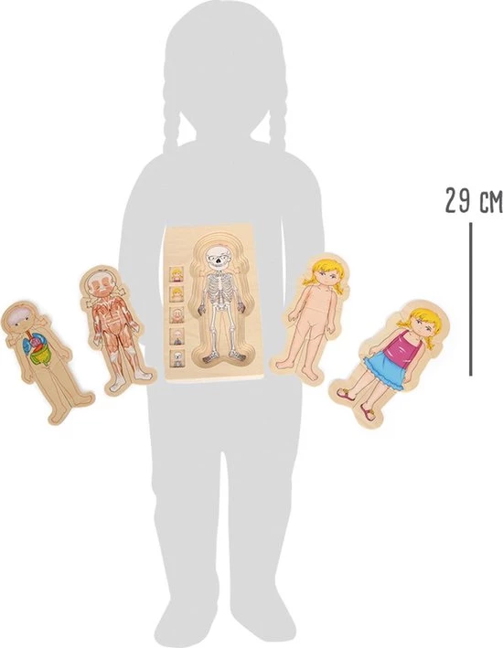 Small Foot Company Small Foot - Layer Puzzle Anatomy Girl 5 Small Foot Company Small Foot - Layer Puzzle Anatomy Girl - Afbeelding 5