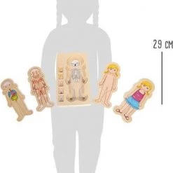 Small Foot Company Small Foot - Layer Puzzle Anatomy Girl 17 Small Foot Company Small Foot - Layer Puzzle Anatomy Girl -Duurzamer-speelgoed Winkel 550x709 3