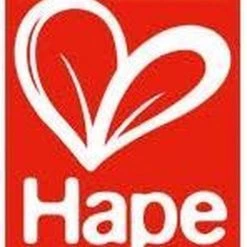 Hape Magisches Touch Xylophon | E11883 -Duurzamer-speelgoed Winkel 550x743